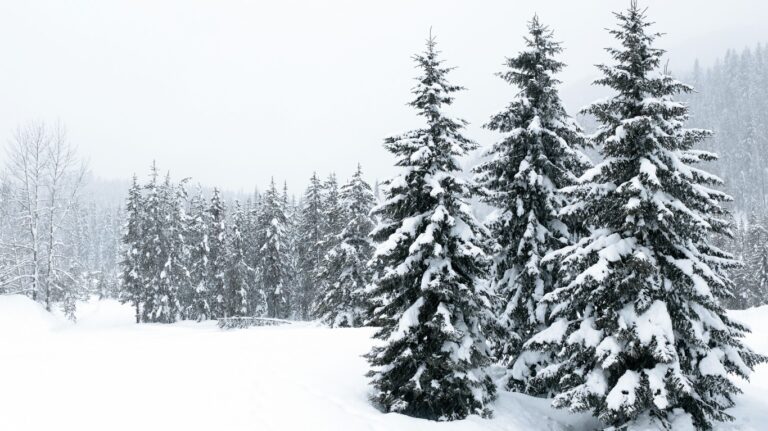 Waiting for the storm: Why 2023 might be better than all the forecasts predict