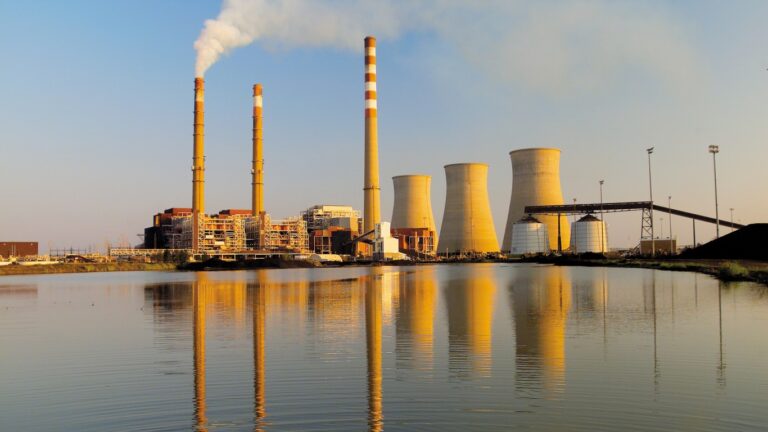 Investor’s guide to Build Back Better