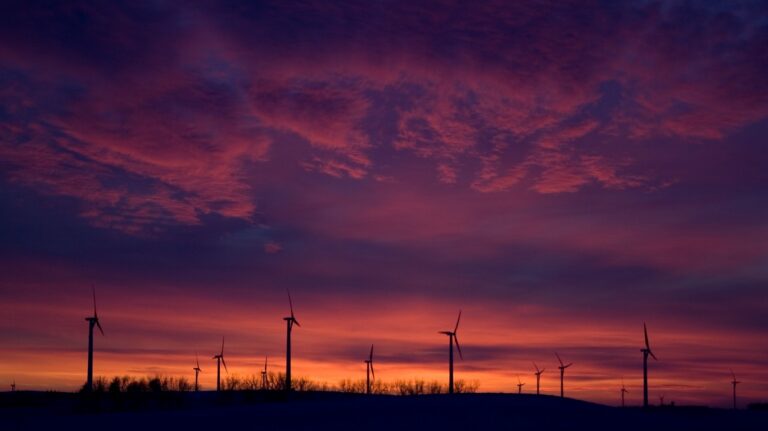 Carbon market fans applaud as Rome burns