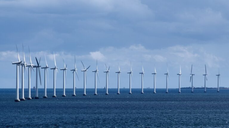 First U.S. offshore wind lease auction in Gulf faces obstacles, including hurricane
