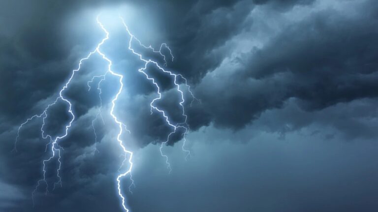 Grant Canary’s wildfire recovery startup reborn as biodiversity gets hot