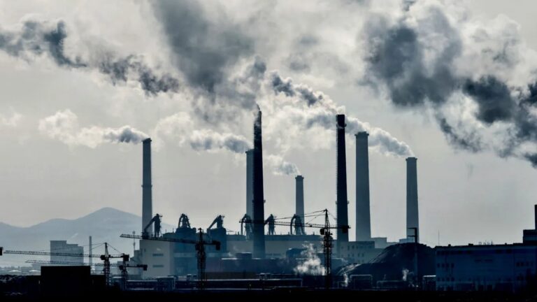 Tightening of ESG standards targets carbon offset schemes