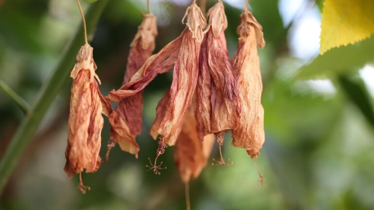 Here’s how investors really behave at a ‘woke’ mutual fund firm