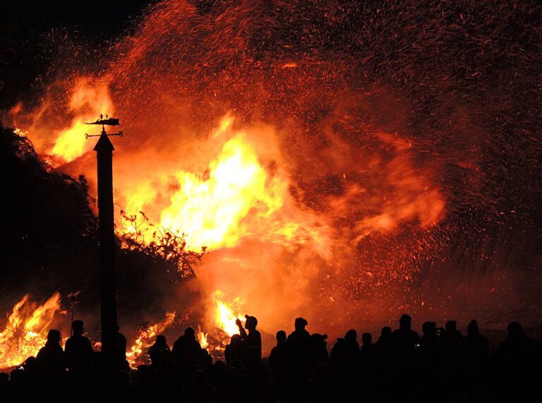 US Wildfire Damage Plunged In 2023