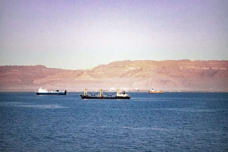 Shipping Stocks Soar On Suez Risk