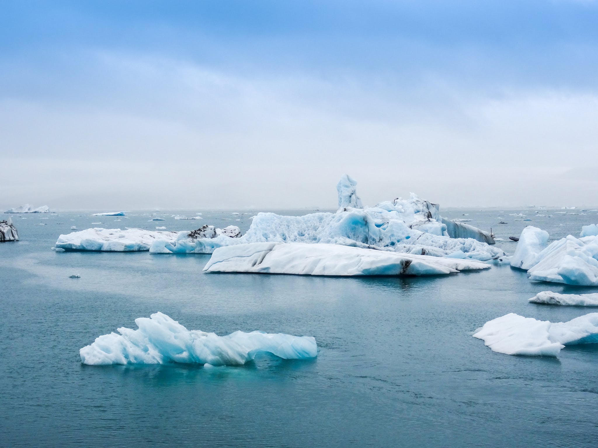 Icebergs in Ocean