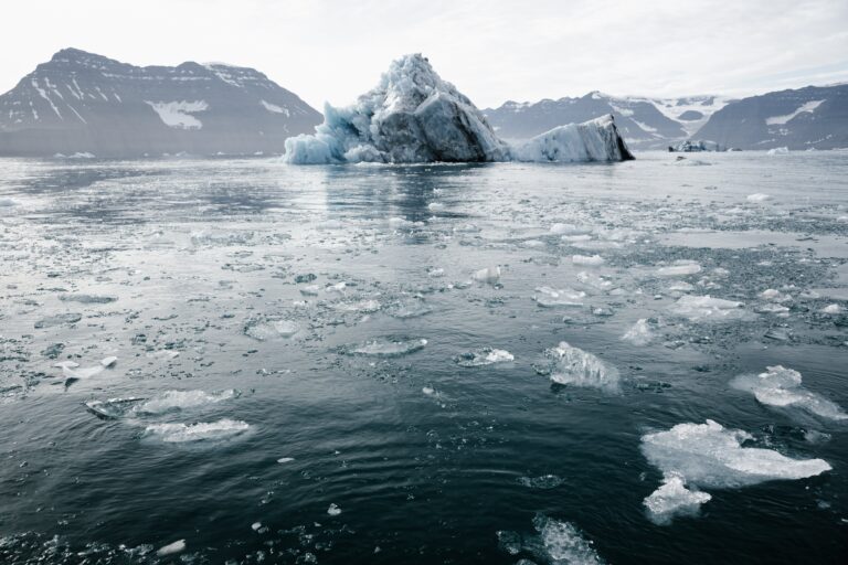 Turning Climate Change Risks into Economic Opportunities