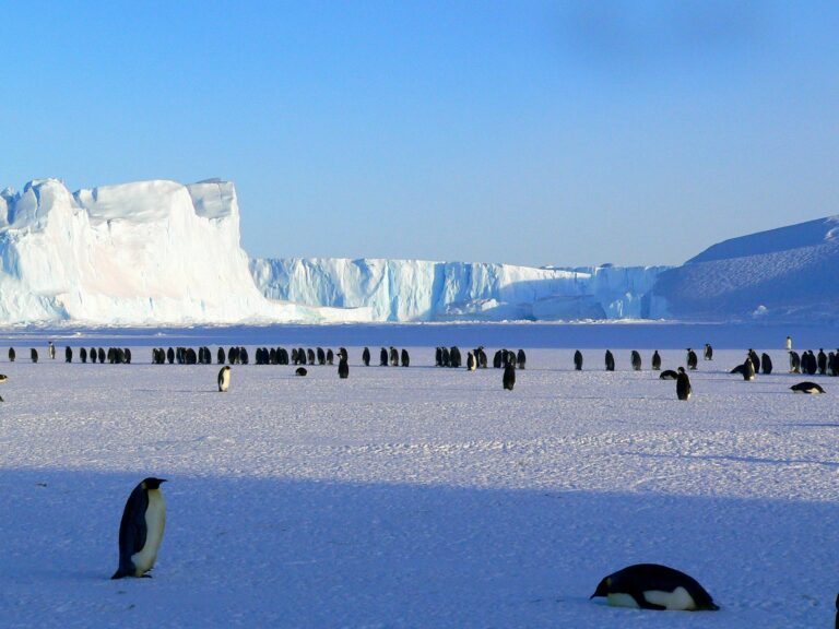 January Is The World’s Hottest Month, But The Low Temperature Is -37 Degrees