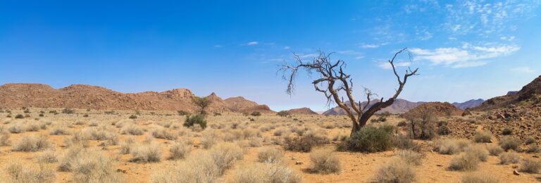 Climate Change Could Cut $12.5 Trillion In Global GDP By 2050