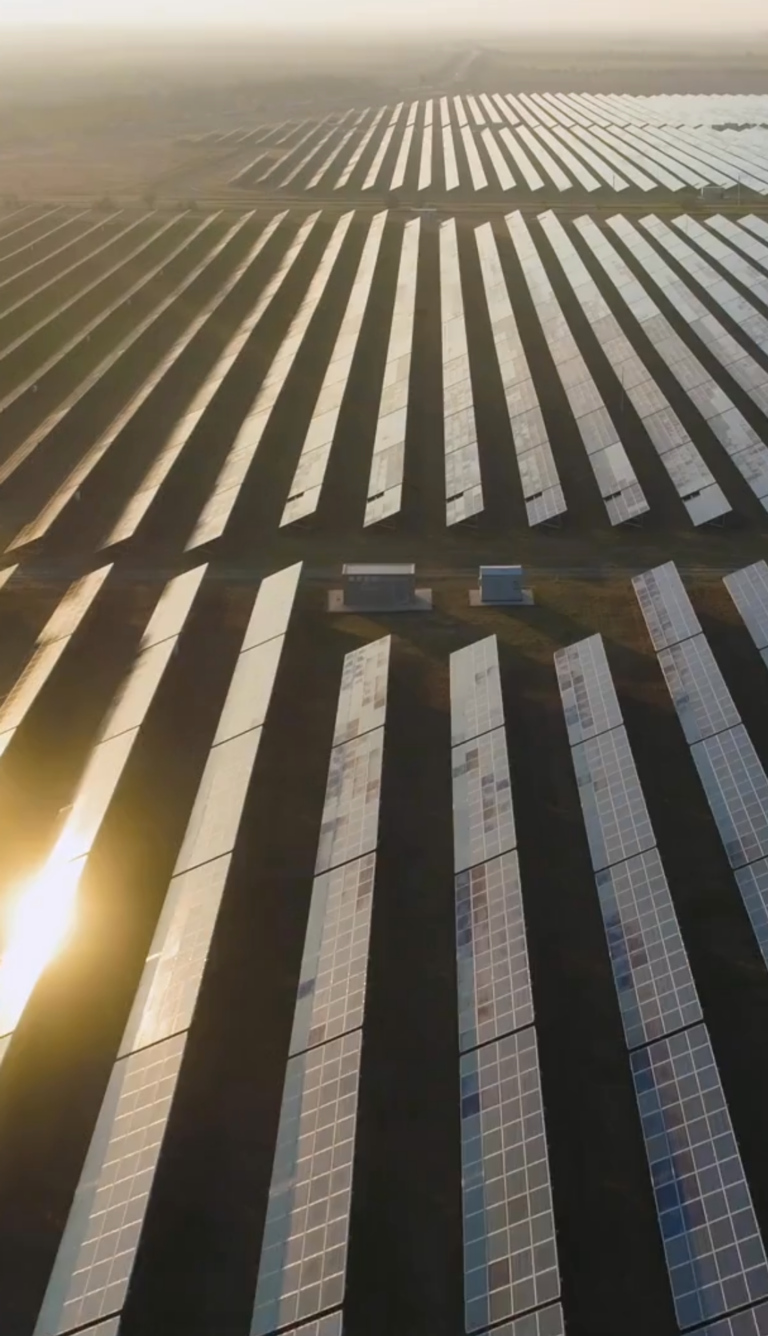 Solar Energy Is Hurting The Environment