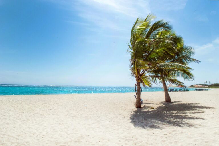 California Beaches Could Disappear