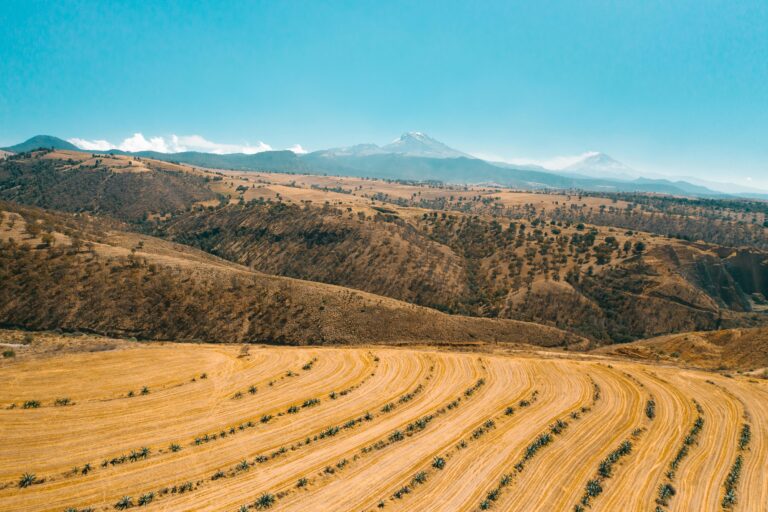 Drought Plagues New Mexico