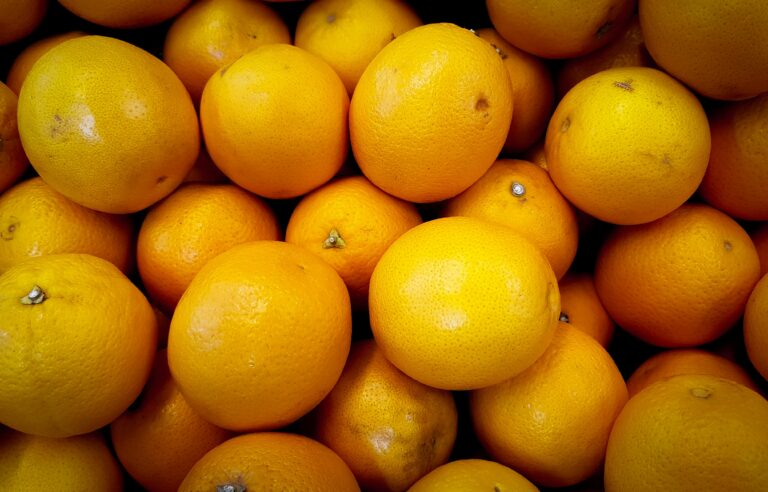 Orange Industry Crippled By Hurricane