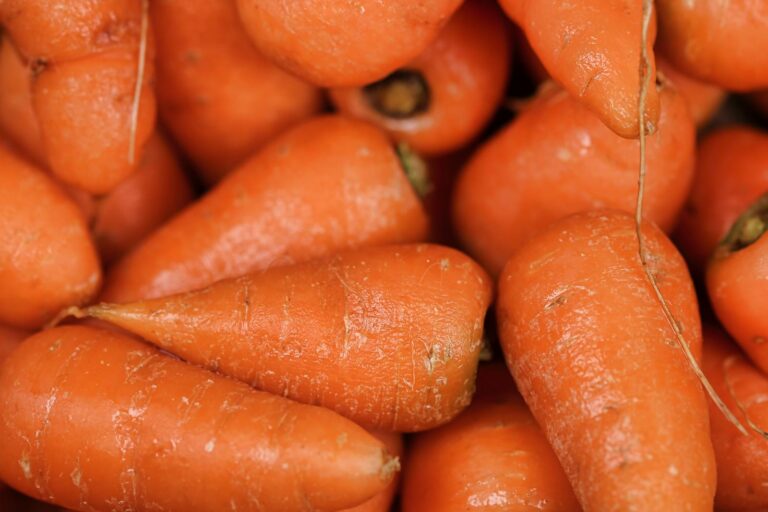 A vibrant close-up of fresh orange carrots, perfect for healthy meals and nutritious diets.