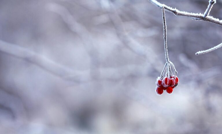 Winter Is Getting Hot