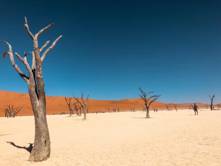 ‘I have lost everything’: The toll of global warming spreads, with Africa Hard-Hit