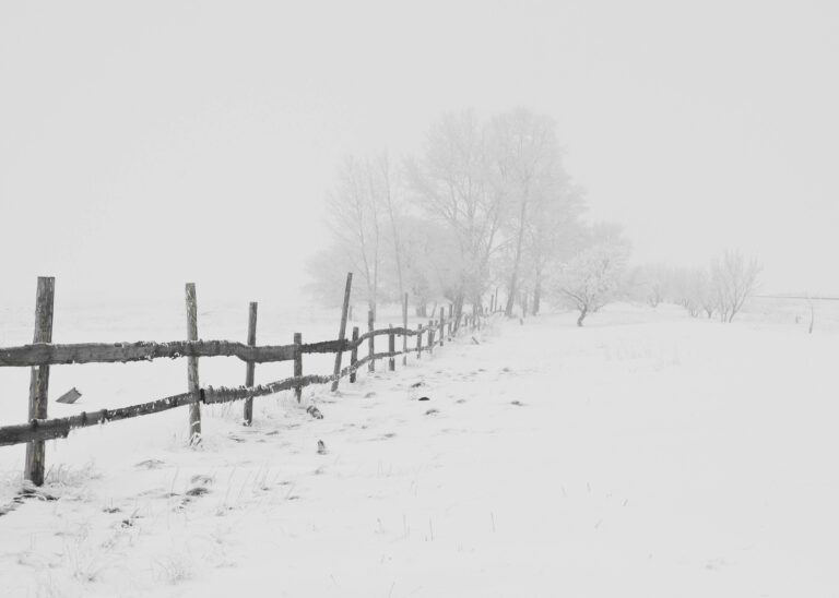Southern Storm To Rock Airports, Utilities, And Oranges