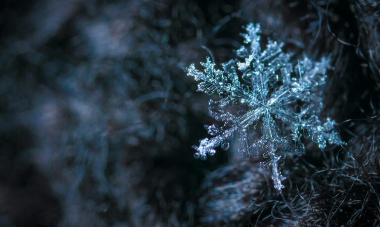 America’s Deep Freeze Hurts People With Huge Energy Bills