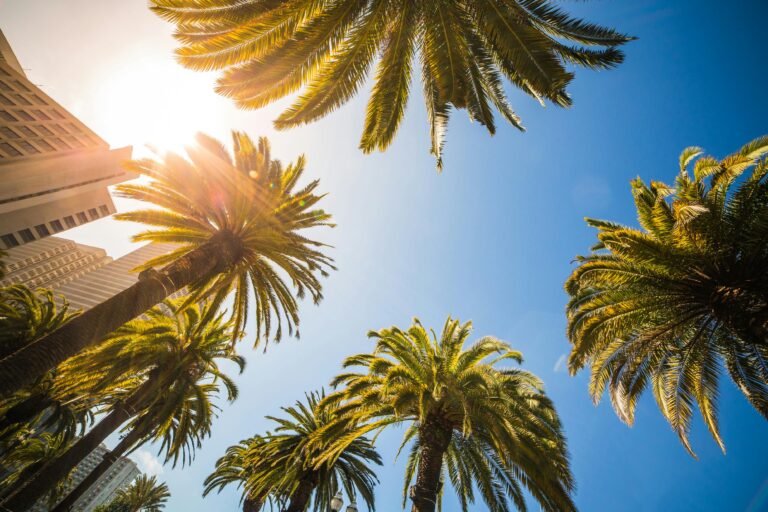 Hot Weather Makes People Older