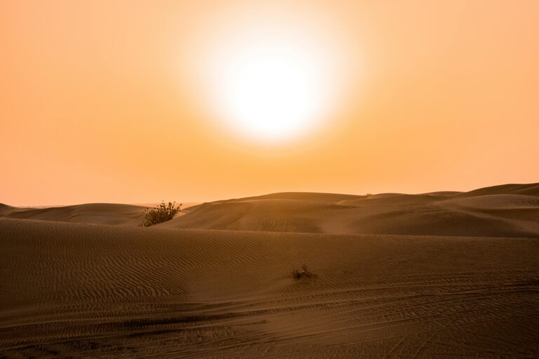 Climate Deaths Estimates Should Be 500,000