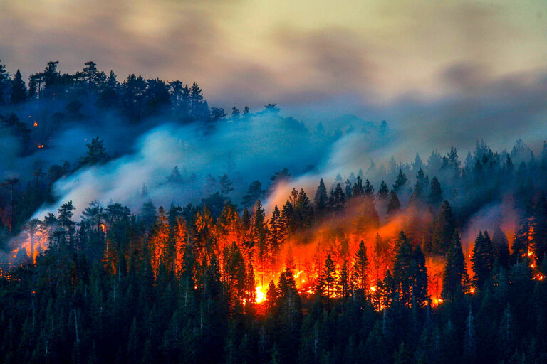 Why Wildfire Risk in California Keeps Rising Despite Recent Rainfall