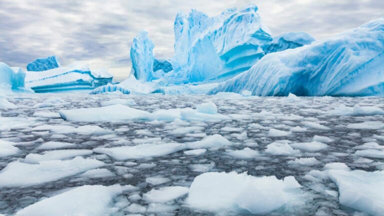 Paris Climate Goals Fall Short in Preventing Polar Ice Meltdown
