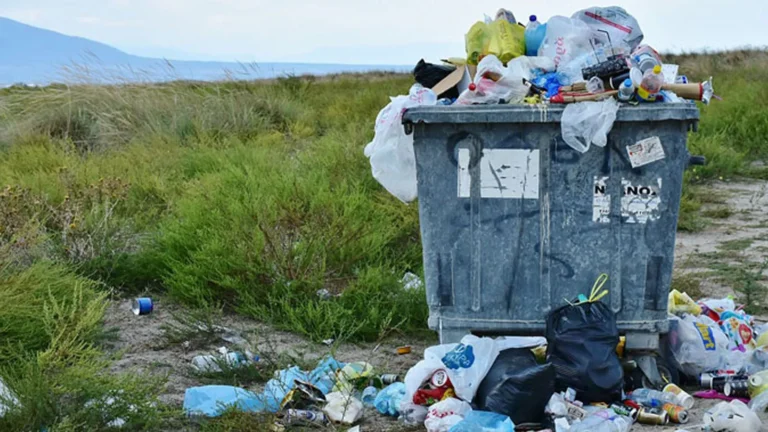 Plastics Are Even Deadlier For the Environment Than Previously Known