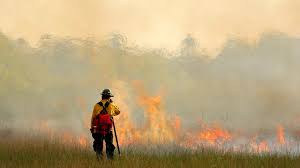Everglades Face Wildfires Despite Rain