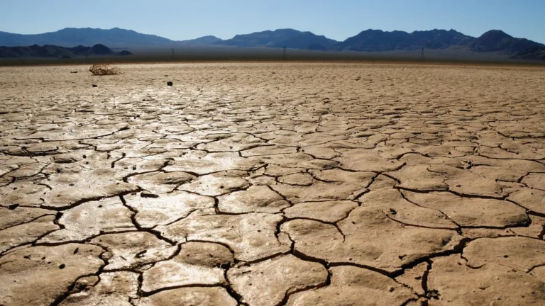 Extreme Drought in New Jersey Raises Wildfire Risk