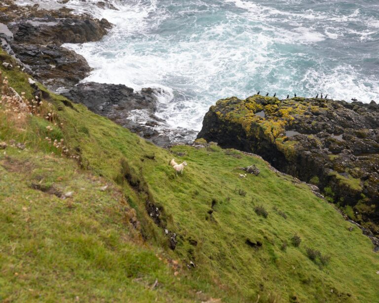 Hurricane Season One Of The Least Active On Record