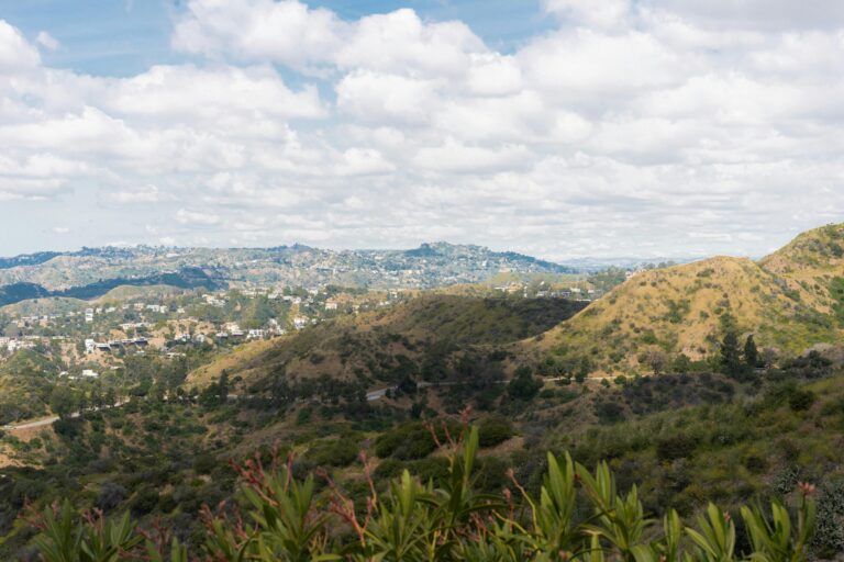 Used Tesla Prices Drop 12%