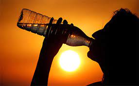 Urban Heat Crisis: Why Some New Yorkers Face Deadlier Summers