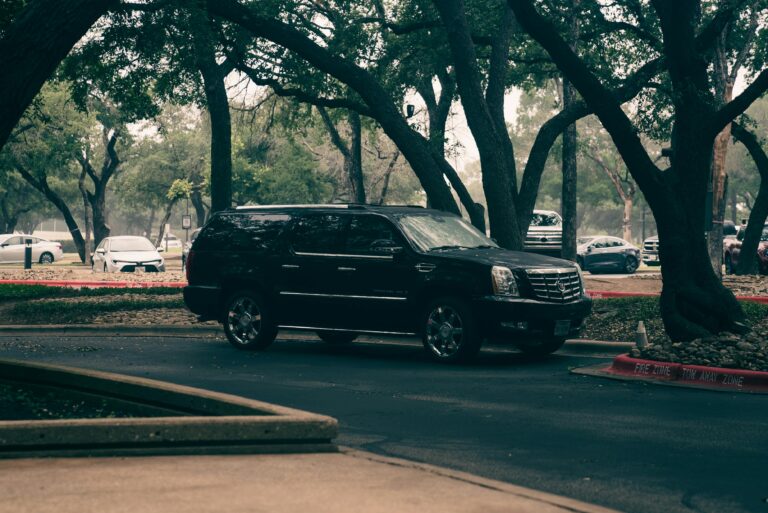 Americans Don’t Steal EVs