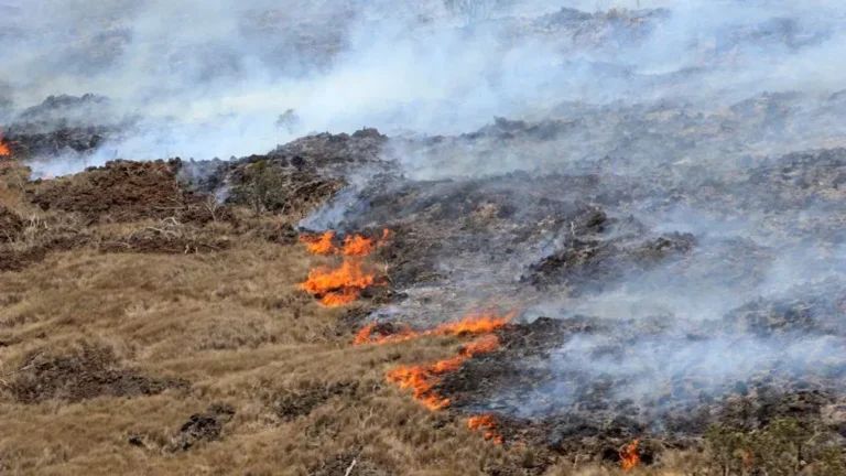 Drought and Wildfire Risk Jumps in Hawaii After Flooding Tsunami