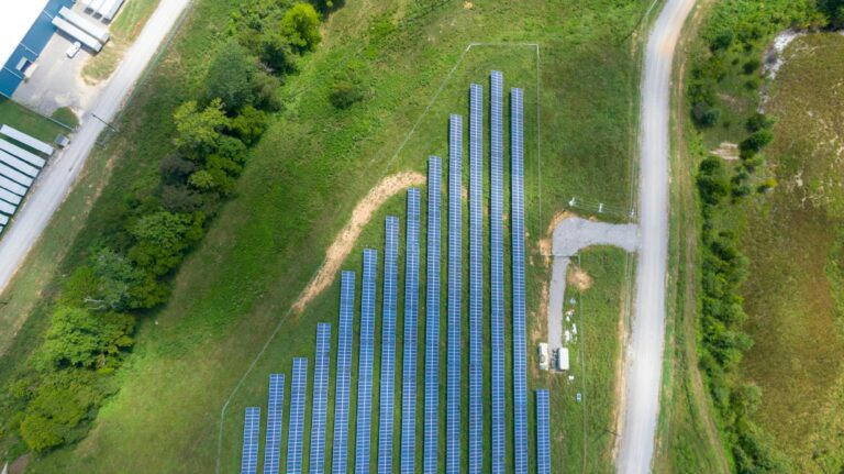 Solar Farm Bigger Than Chicago