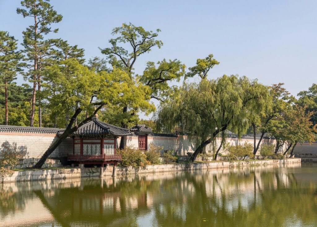 A body of water surrounded by trees and buildings