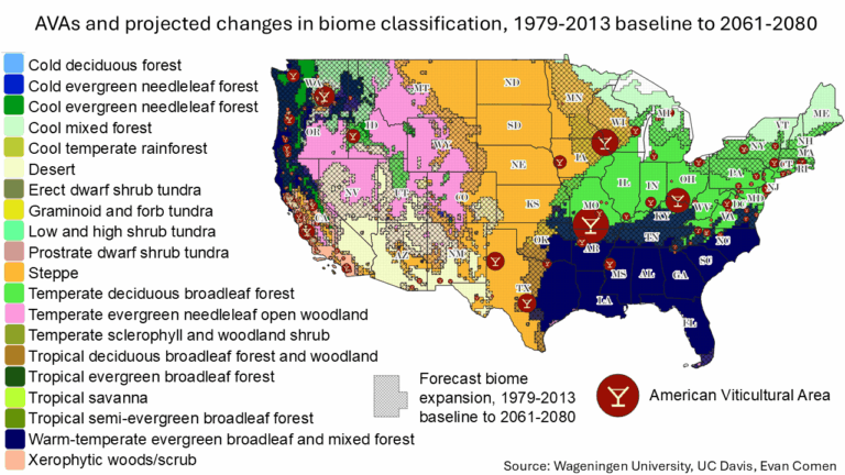 Climate Change May Transform These Wine Regions By 2080