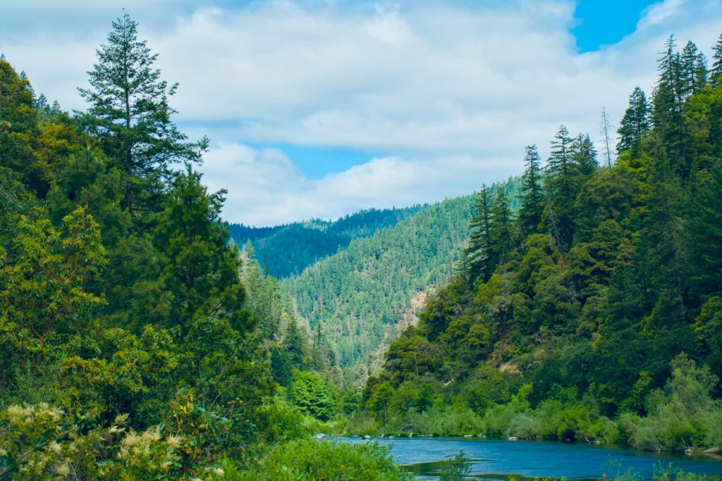 Beautiful green valley with a river and cloudy sky.