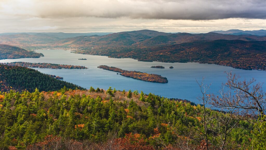 green trees near body of water during daytime